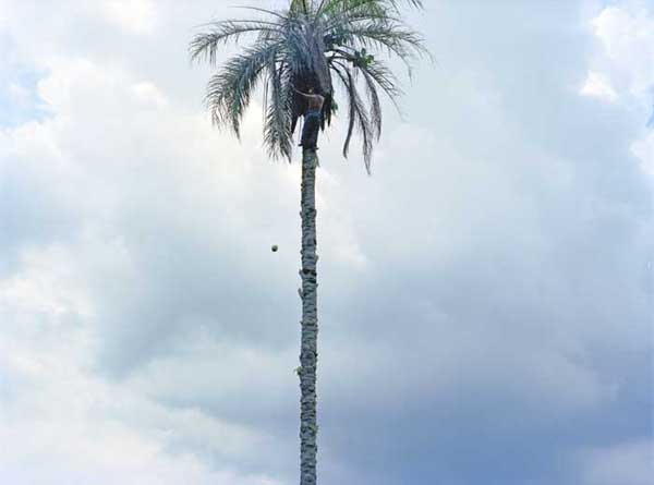 portogallo1