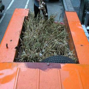 Truck Garlic Shu Lea Cheang